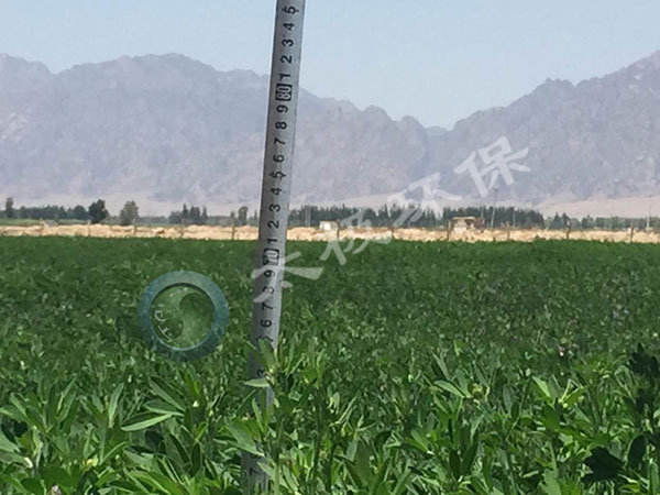 1466050136740447.jpg 加水印內蒙古鹽堿地6p.jpg